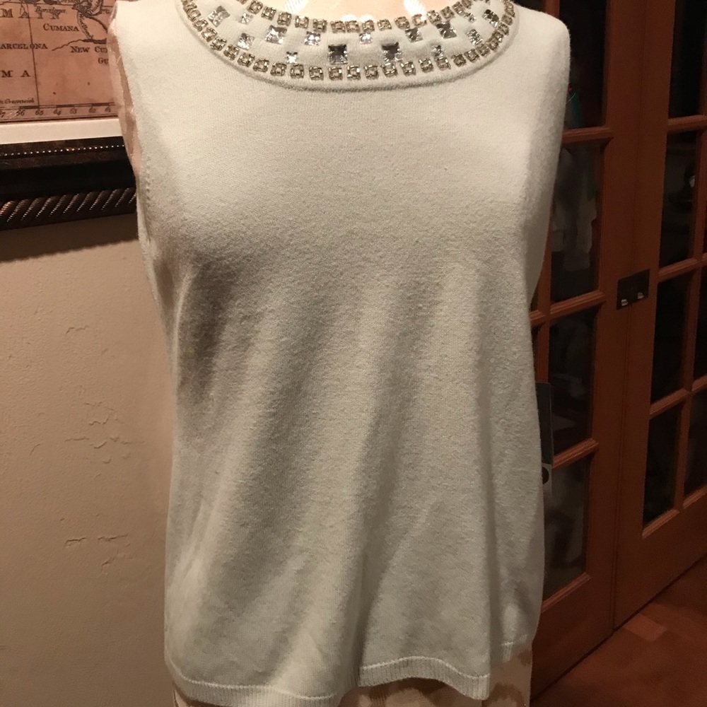 Chaus sleeveless top